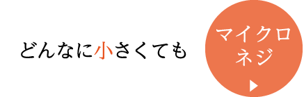 どんなに小さくても マイクロネジ